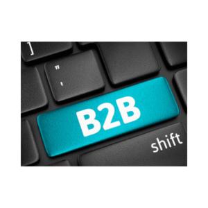 B2B DATABASE INDIA